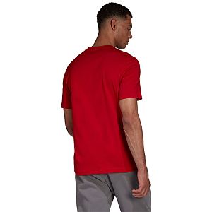 Adidas Entrada shirt